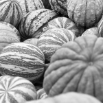 Виртуальная ферма с игровыми символами и кулинарными элементами