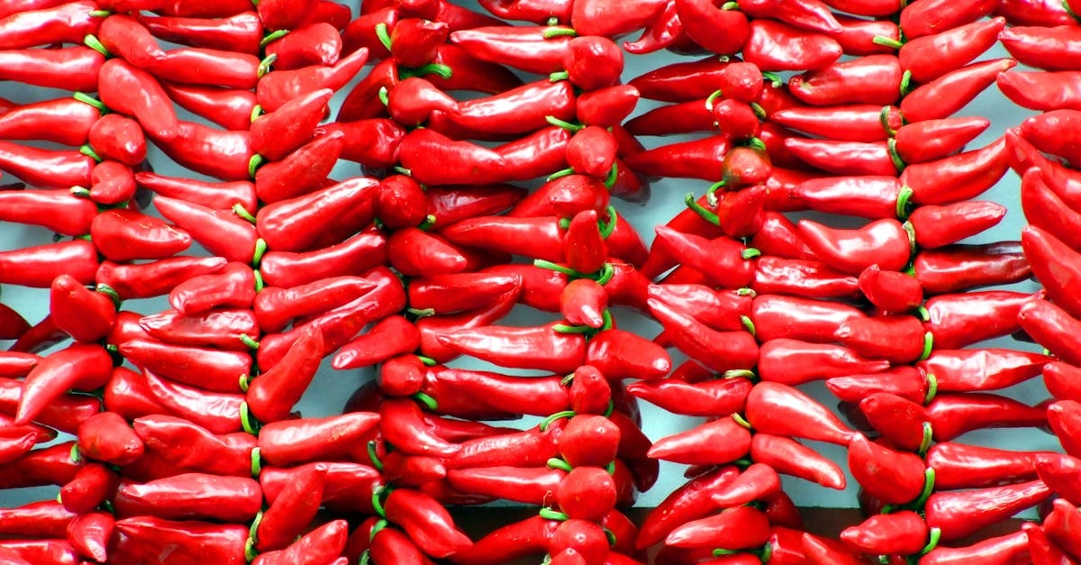 Острые впечатления от виртуального мира Hot Chilli в кулинарии